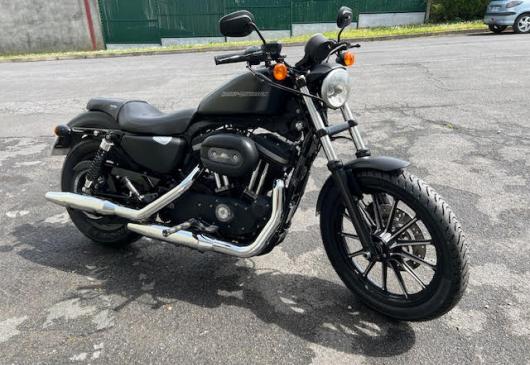 HARLEY SPORTER XL 883 IRON
